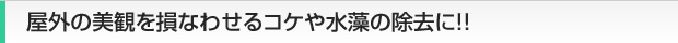 屋外の美観を損なわせるコケや水藻の除去に!!