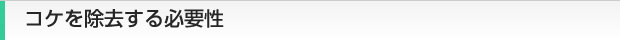 コケを除去する必要性